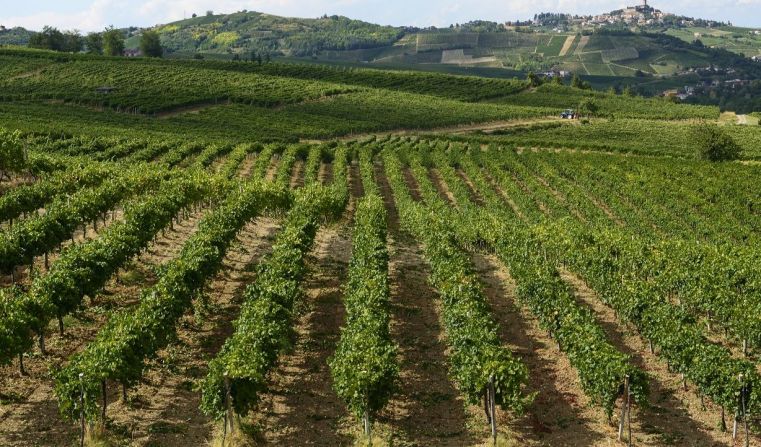 Immagine delle evento: L'agricoltura in Lombardia nel 1° semestre